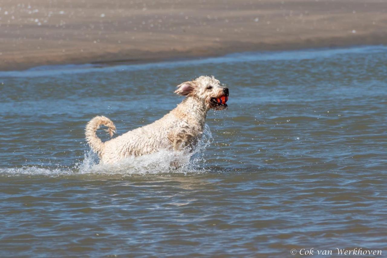 Strandhuis Aan Zee Noordwijk Εξωτερικό φωτογραφία